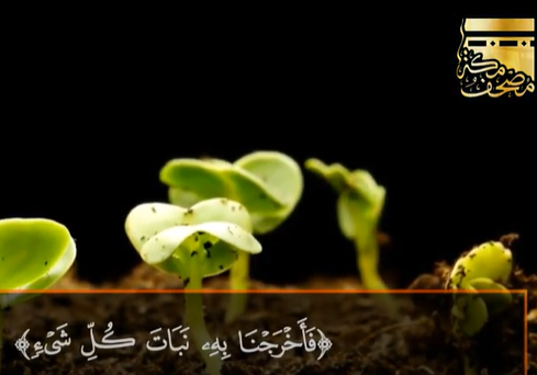 الآية 99 سورة الأنعام